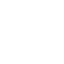 Thunder Palm