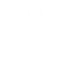 Undying Phoenix