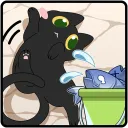The Kitten Encounter