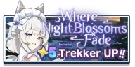 Where Night Blossoms Fade